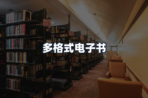 多格式电子书